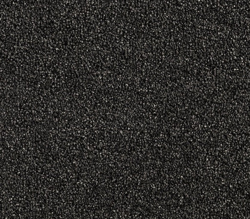 Granite Glimmer Nylon Carpet (CQ31) - National Floors