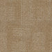 Granola Carpet Tile (CTN32) - National Floors