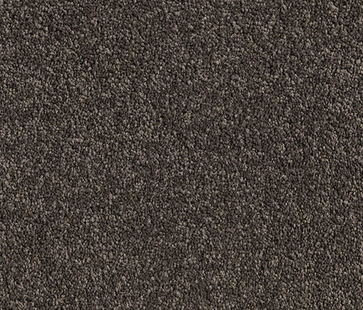 Graphite Glamour Nylon Carpet (CQ39) - National Floors