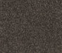 Graphite Glamour Nylon Carpet (CQ39) - National Floors