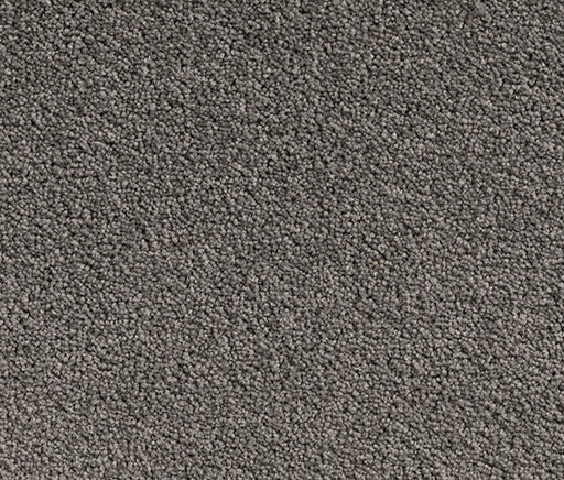 Grey's Grace Nylon Carpet (CQ19) - National Floors