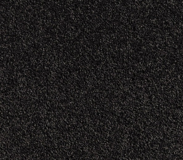 Greystone Glam Nylon Carpet (CQ67) - National Floors