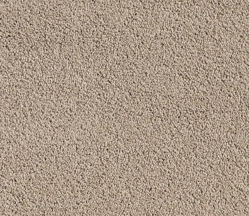 Haze Horizon Nylon Carpet (CQ20) - National Floors