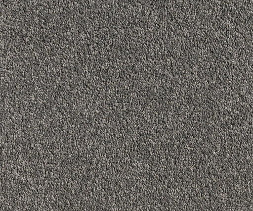 Haze Horizon Nylon Carpet (CQ41) - National Floors