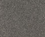 Haze Horizon Nylon Carpet (CQ41) - National Floors