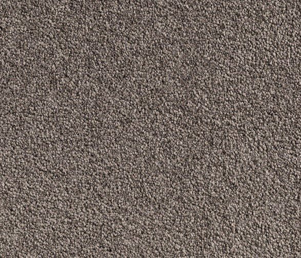 Hearthstone Haven Nylon Carpet (CQ63) - National Floors