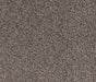 Hearthstone Haven Nylon Carpet (CQ63) - National Floors