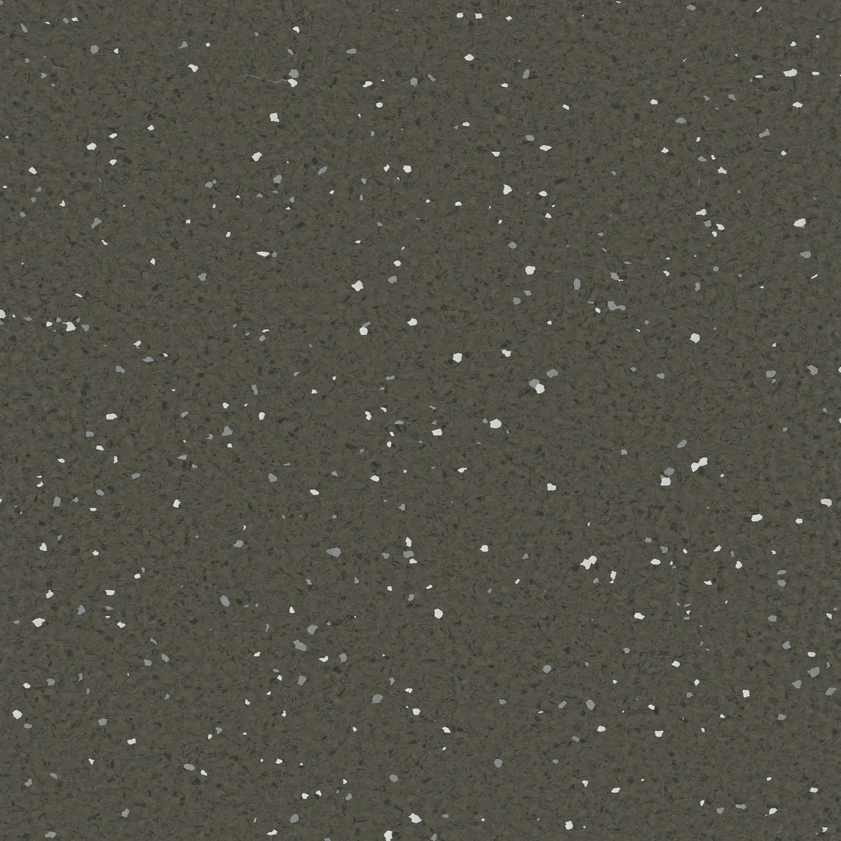 Kookaburra 2mm Vinyl Flooring (VA102)