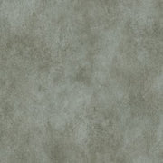 Lithos 2mm Vinyl Flooring (VA181)