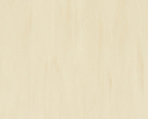 Lunar Beige Armalon Homogeneous Vinyl Sheet (VA93) - National Floors