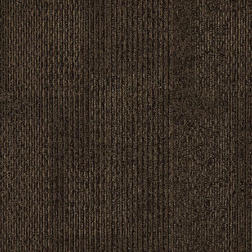 Mocha Carpet Tile (CTN34) - National Floors