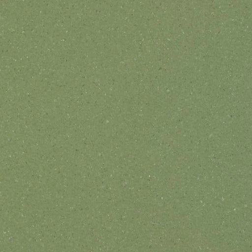 Mossman Accolade Plus Homogeneous Vinyl Sheet (VA43) - National Floors