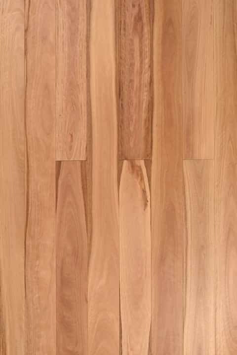 Reef Blackbutt 18mm Solid Timber Flooring (SO17)