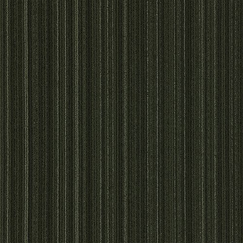 Rainforest Carpet Tile (CTN25) - National Floors
