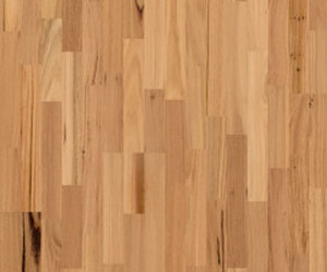 Blackbutt 3 Strips Solid Timber Flooring (STO3) - National Floors