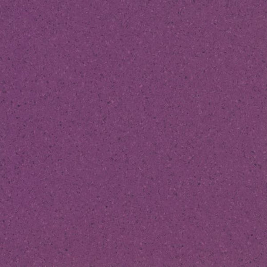 Berry Vinyl Flooring (VA43)