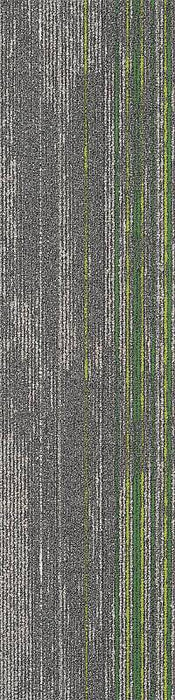 Shale Green Carpet Tile (CTN49) - National Floors