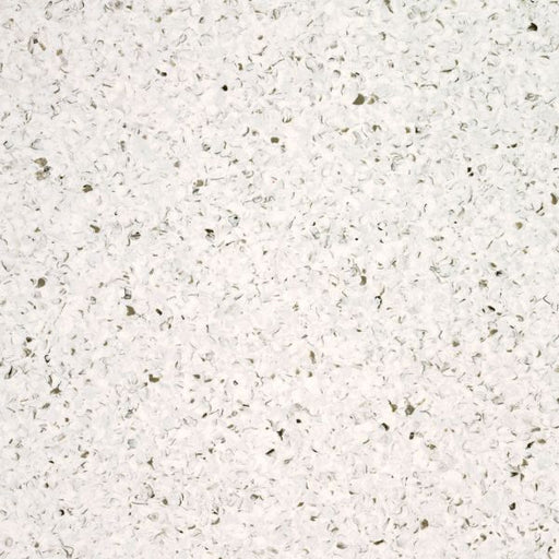 Spice White Accolade Plus Homogeneous Vinyl Sheet (VA25) - National Floors