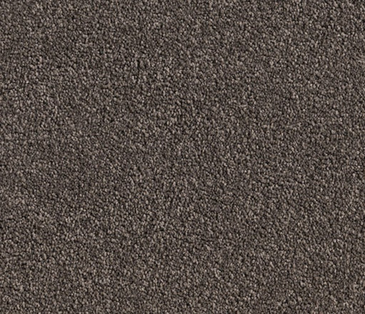 Stone Seduction Nylon Carpet (CQ64) - National Floors