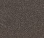 Stone Seduction Nylon Carpet (CQ64) - National Floors