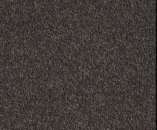 Suede Serenity Nylon Carpet (CQ65) - National Floors