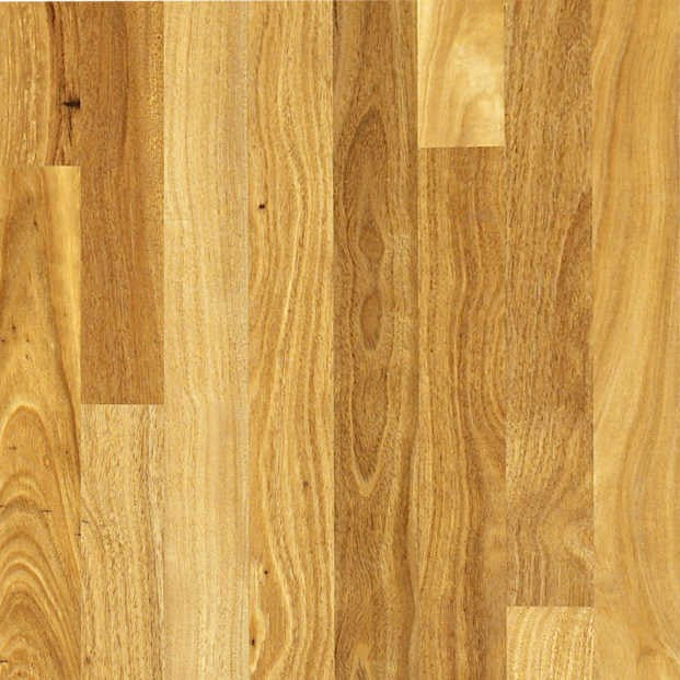 Honey Tallowwood 18mm Solid Timber Flooring (SO28)