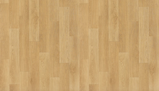 Too Right Plus Timberline Plus Heterogeneous Vinyl Sheet (VA121) - National Floors