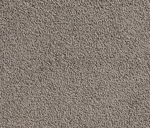 Urban Oasis Nylon Carpet (CQ68) - National Floors