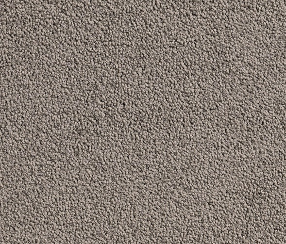 Urban Oasis Nylon Carpet (CQ68) - National Floors