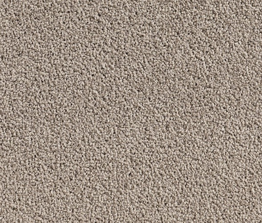 White-Duck Dreams Nylon Carpet (CQ25) - National Floors