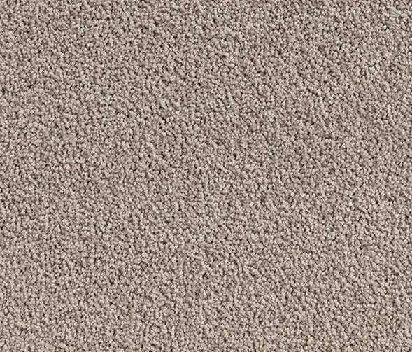 White-Duck Dreams Nylon Carpet (CQ25) - National Floors