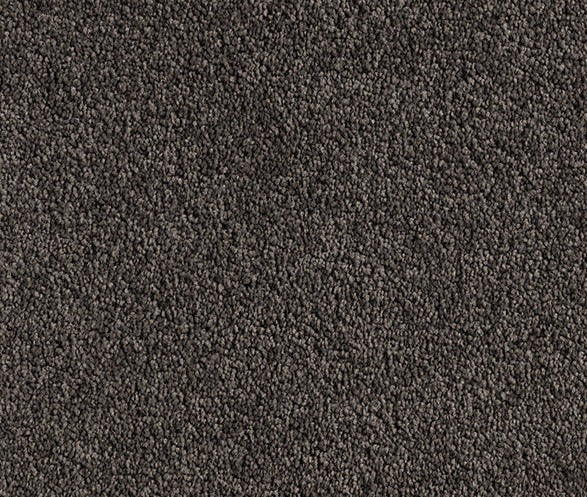 Winding Journey Nylon Carpet (CQ26) - National Floors