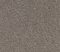 Zinna's Zen Nylon Carpet (CQ27) - National Floors