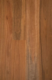 Drift Spotted Gum 18mm Solid Timber Flooring (SO23)