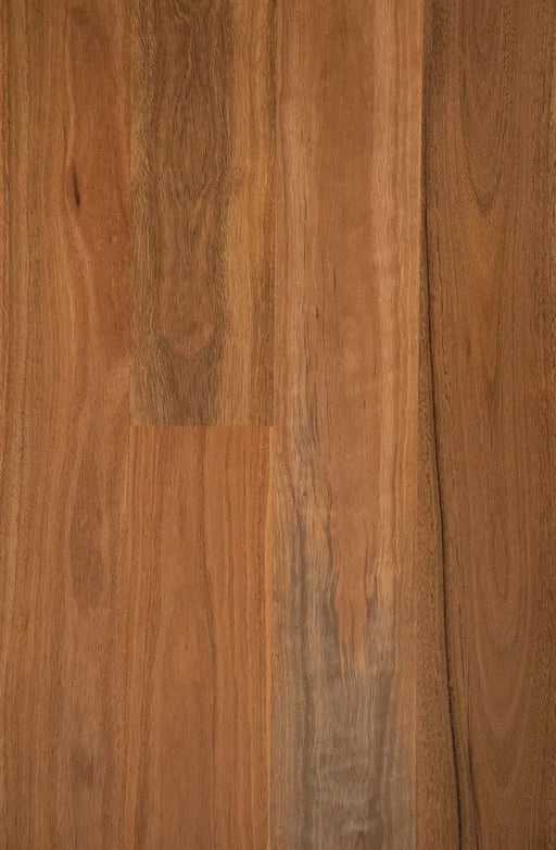 Spotted Gum Solid Timber Flooring (STO7) - National Floors