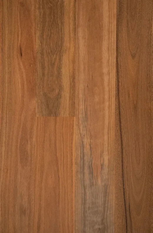 Drift Spotted Gum 18mm Solid Timber Flooring (SO22)