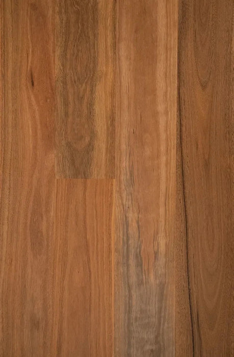 Spotted Gum Solid Timber Flooring (STO6) - National Floors